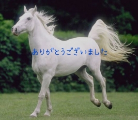 ありがとうございました☆