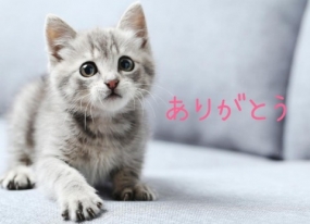 ありがとうございました☆
