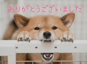ありがとうございました☆