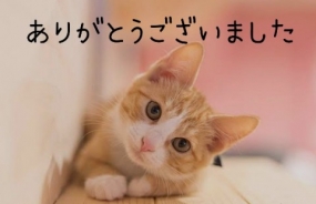 ありがとうございました☆