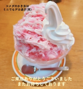 21日のお礼です なぎさ