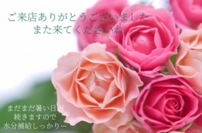 26日のお礼です なぎさ