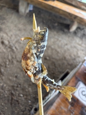 あみ27日お礼です