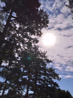 9月もよろしくお願いします。のりか