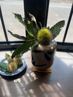 めぐみです、お礼