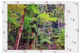 次回出勤日　いこい