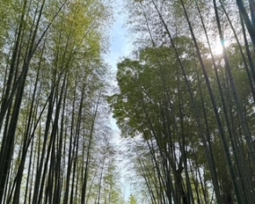 本日出勤　いこい