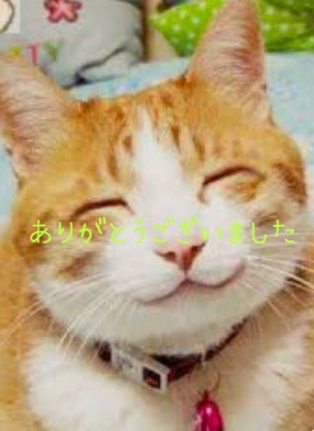 ありがとうございました☆