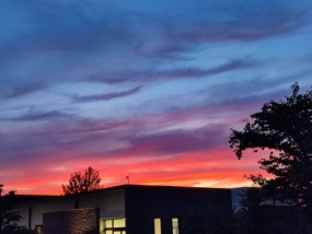 さくら 出勤しました♪