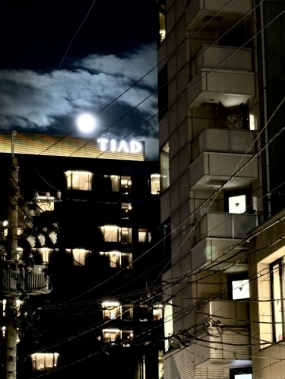 『月が綺麗ですね…///』