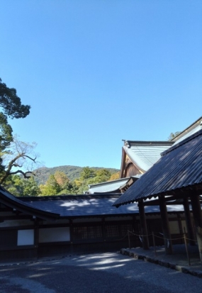 出勤予定。のりか