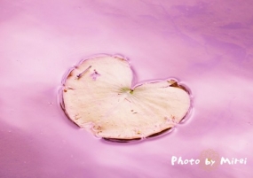 出勤しました^_^みやこ