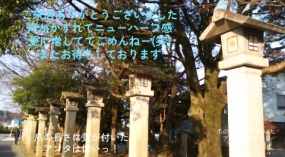 24日のお礼です なぎさ