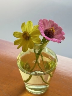 みやこ出勤します