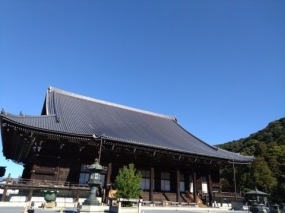 本日もよろしくお願いします。のりか