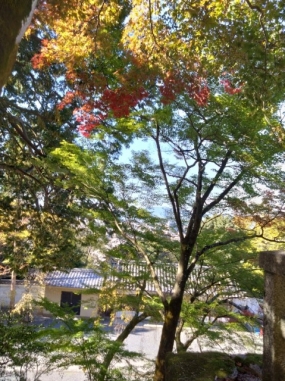 本日もよろしくお願いします。のりか