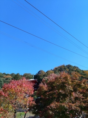 出勤予定☆のりか