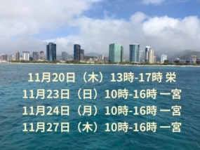 めぐみです。ご案内