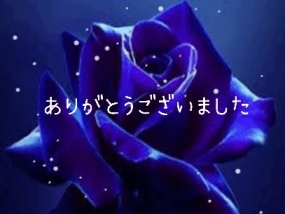 ありがとうございました☆
