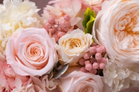 昨日のお礼　みやこ