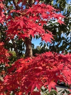 みやこ出勤しました^_^